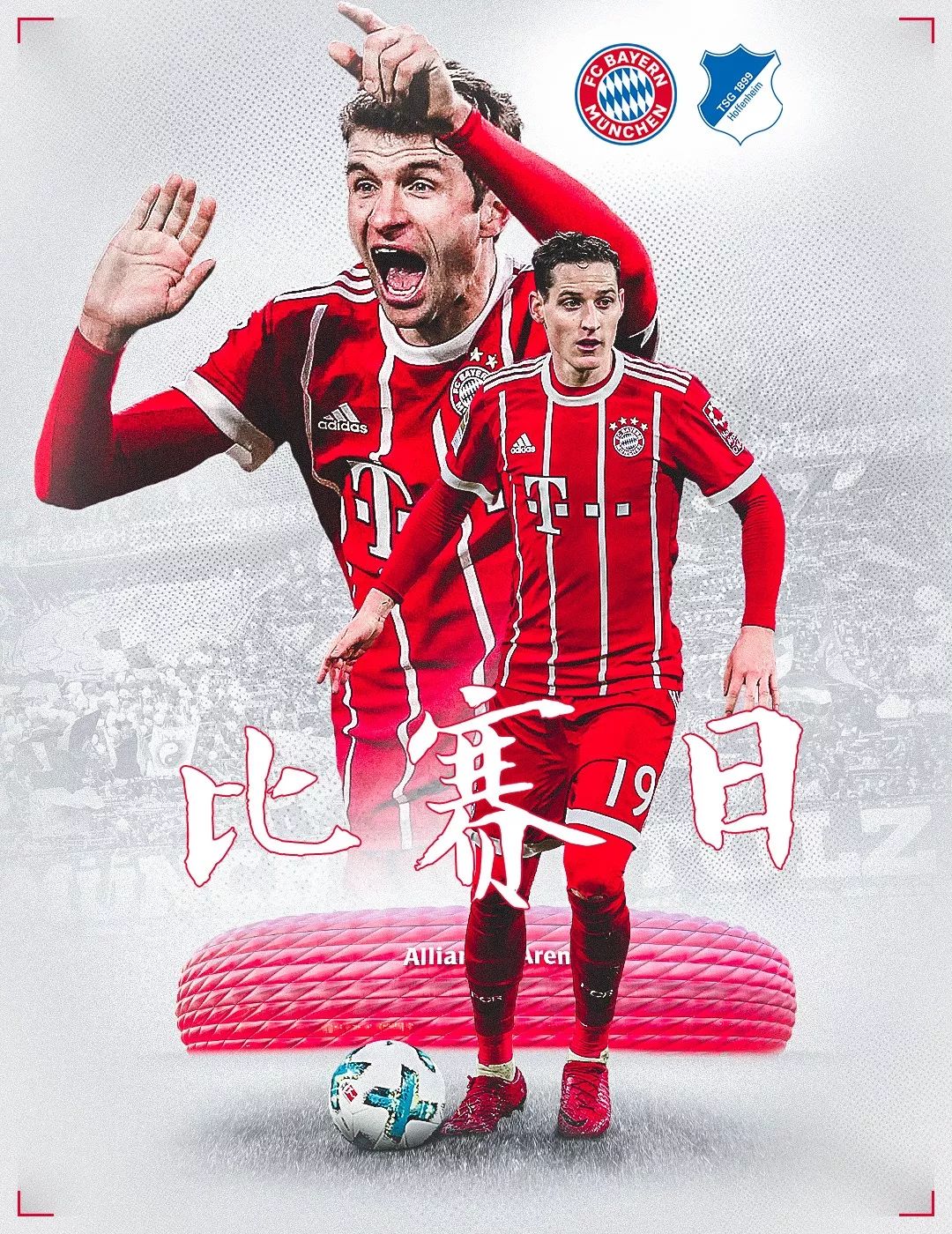 阵容