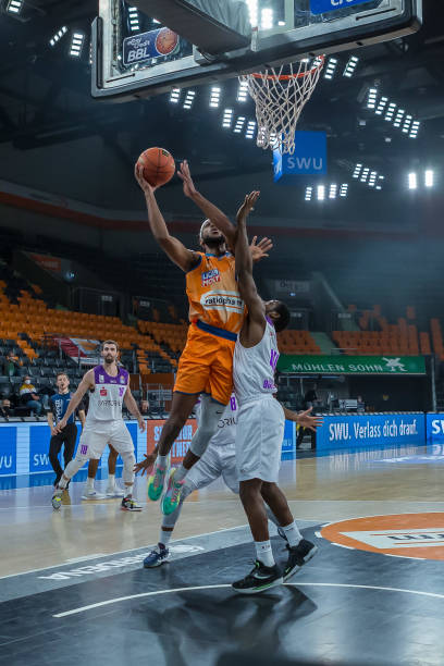 锋在未来的 锋在未来的